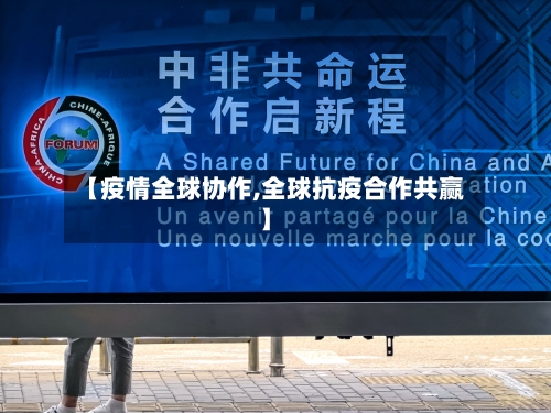 【疫情全球协作,全球抗疫合作共赢】-第2张图片