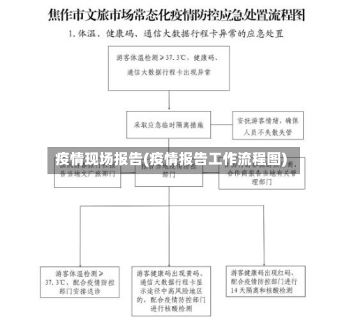 疫情现场报告(疫情报告工作流程图)-第1张图片