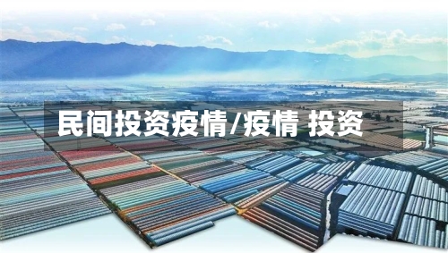 民间投资疫情/疫情 投资-第2张图片
