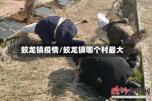 蛟龙镇疫情/蛟龙镇哪个村最大-第2张图片