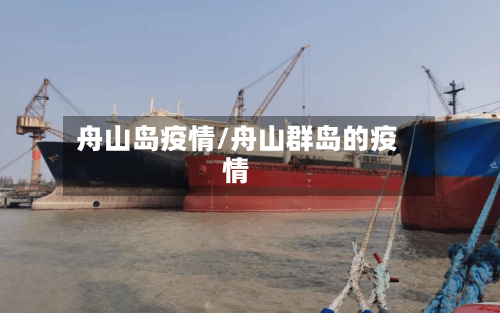 舟山岛疫情/舟山群岛的疫情-第1张图片