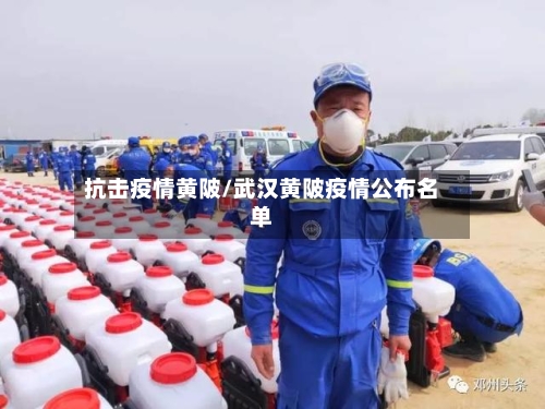 抗击疫情黄陂/武汉黄陂疫情公布名单-第3张图片
