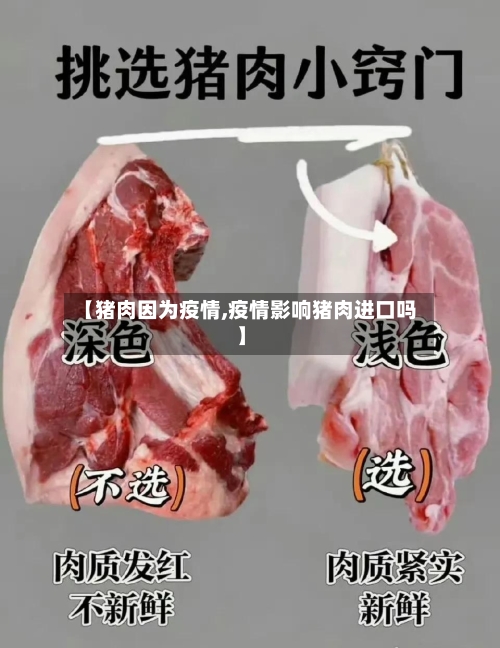 【猪肉因为疫情,疫情影响猪肉进口吗】-第1张图片