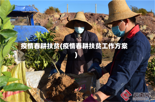 疫情春耕扶贫(疫情春耕扶贫工作方案)-第2张图片