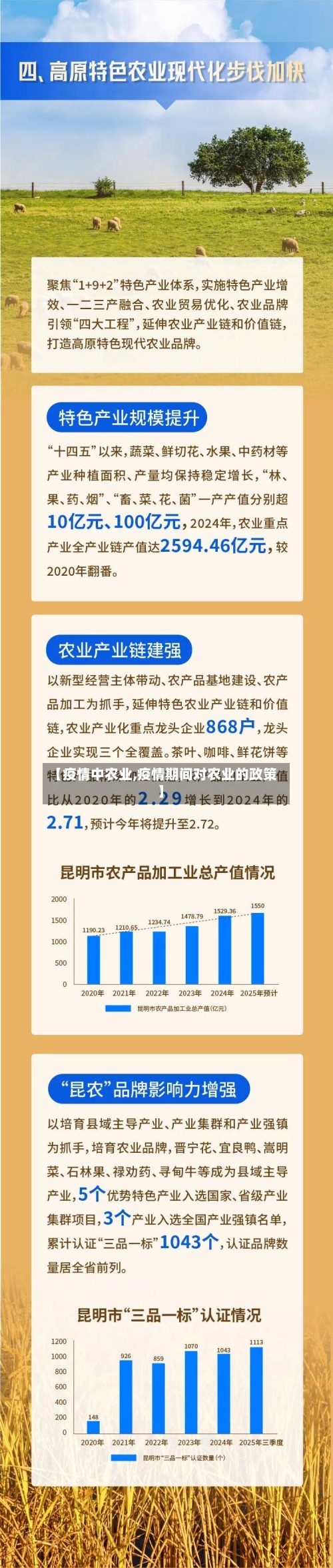 【疫情中农业,疫情期间对农业的政策】-第1张图片