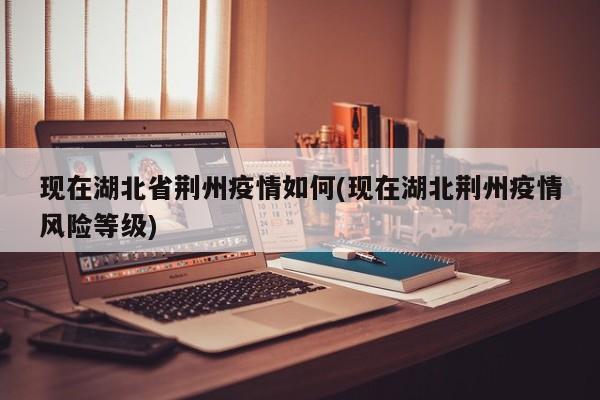 现在湖北省荆州疫情如何(现在湖北荆州疫情风险等级)