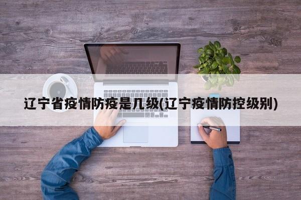辽宁省疫情防疫是几级(辽宁疫情防控级别)
