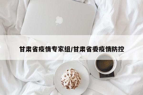 甘肃省疫情专家组/甘肃省委疫情防控
