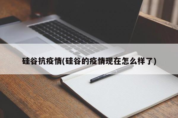 硅谷抗疫情(硅谷的疫情现在怎么样了)